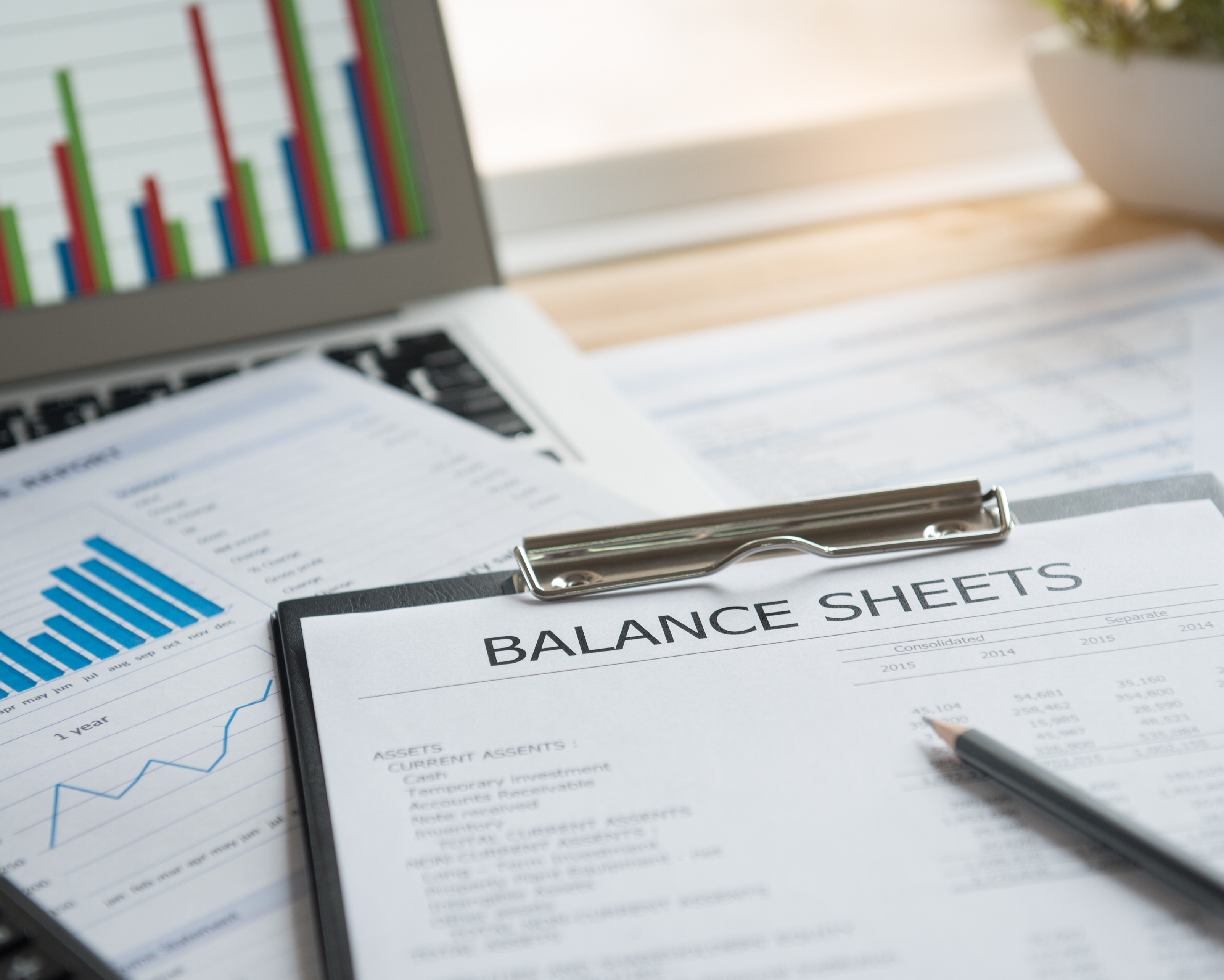 Independent Auditors Report USPS Financial 2024