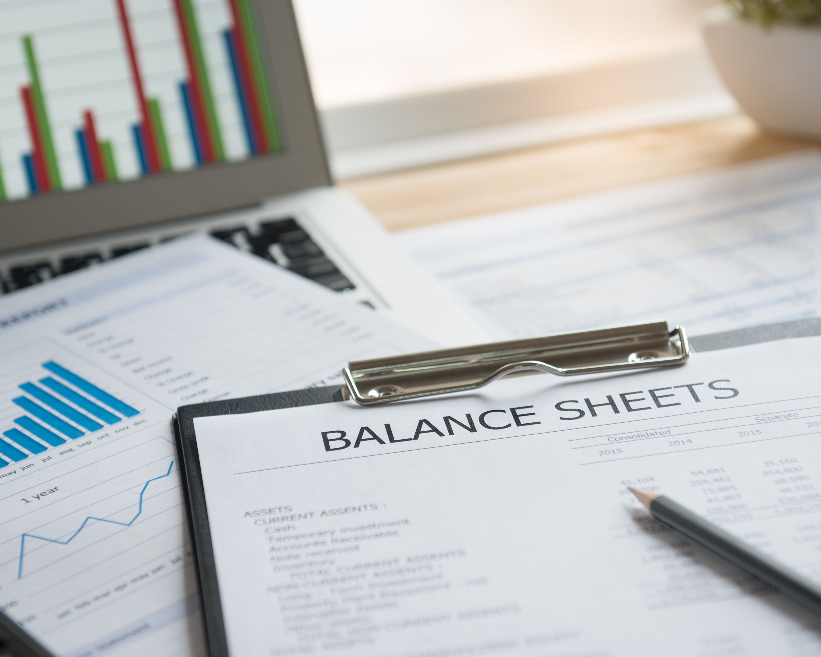 FY2025 Selected Financial Activities and Accounting Records Cover