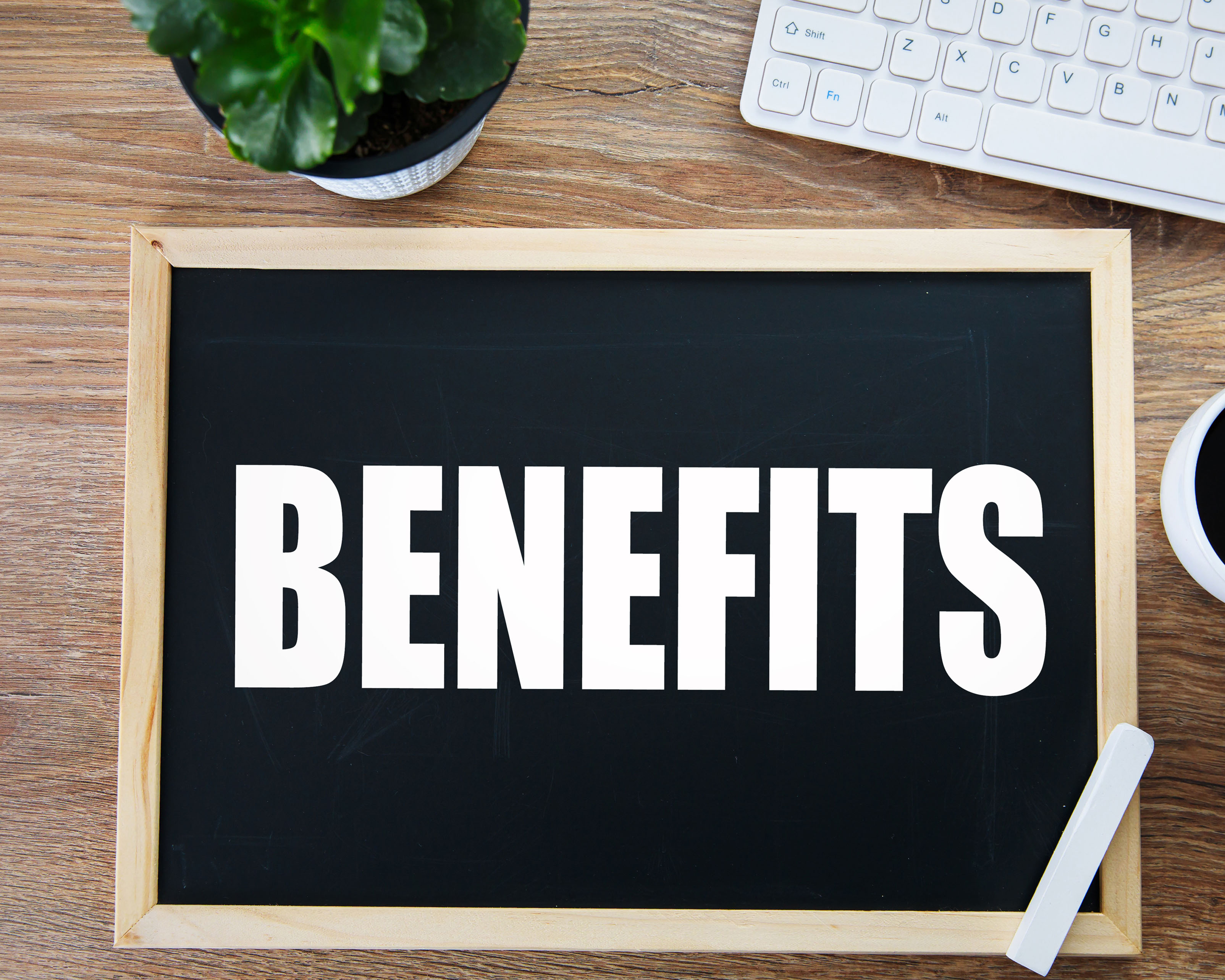Independent Auditors Report USPS Benefits 2025 Cover