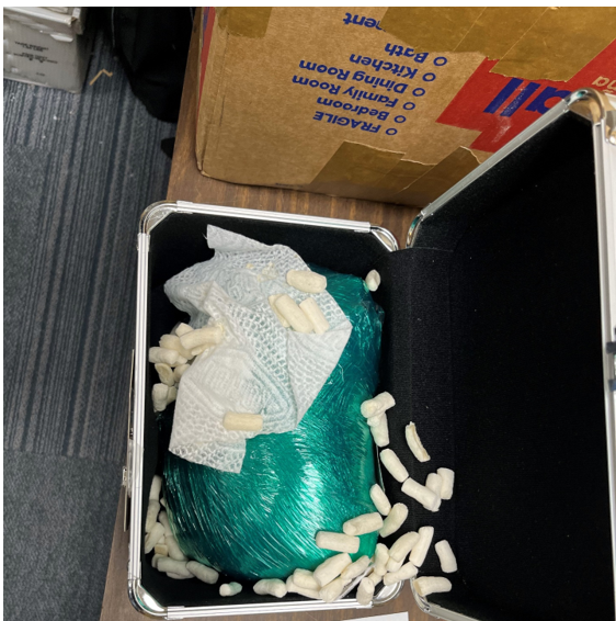 OICH Evidence 2 2025-06-11